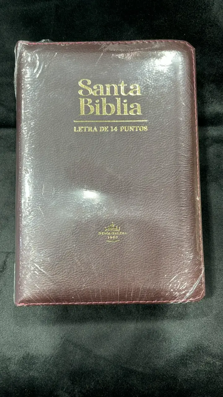 Santa Biblia Letra Grande Reina-Valera 1960 - 1