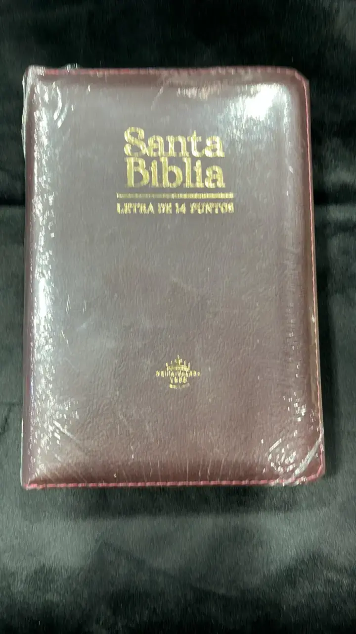 Santa Biblia Letra Grande Reina-Valera 1960 - 2