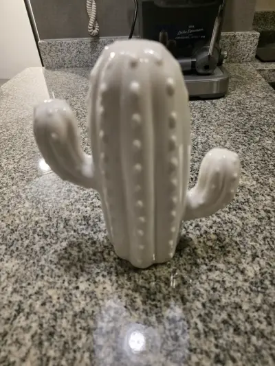 Alcancía de cerámica en forma de cactus - miniatura 3