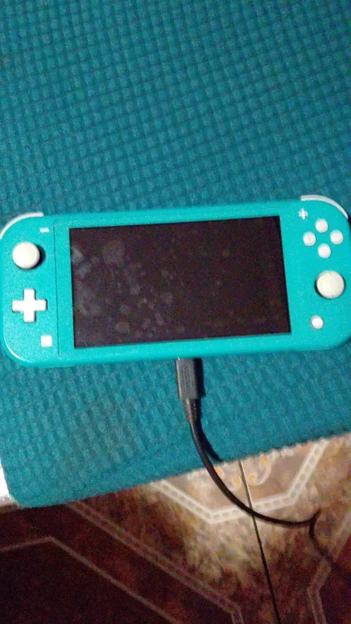 Nintendo Switch Lite - 4