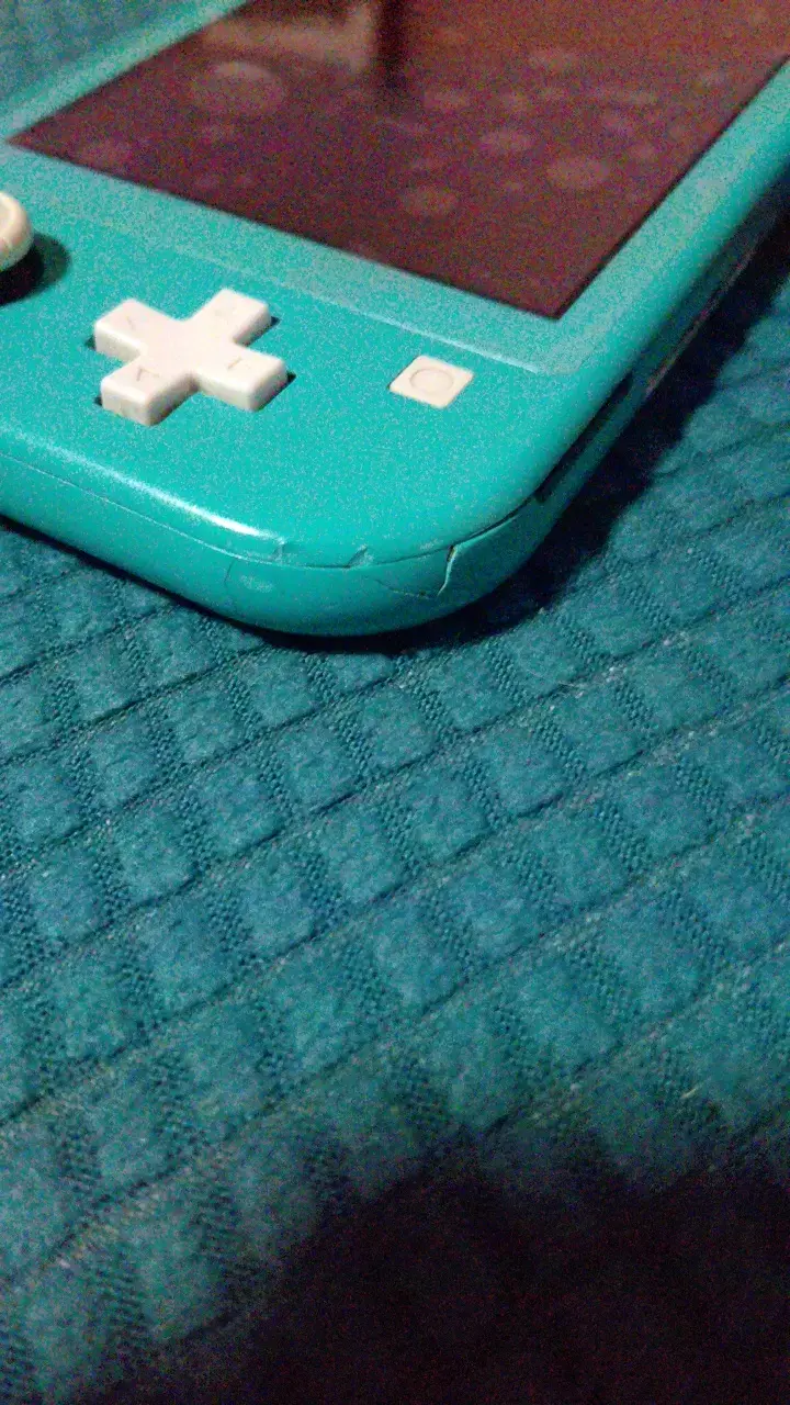 Nintendo Switch Lite - 5