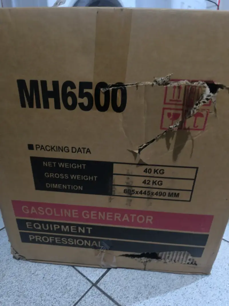Generador a gasolina Gruppi Ferrara F16500 6500W - 2