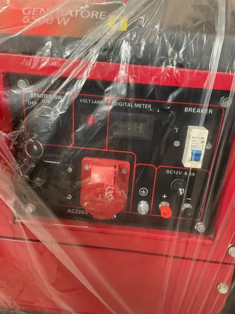 Generador a gasolina Gruppi Ferrara F16500 6500W - 4