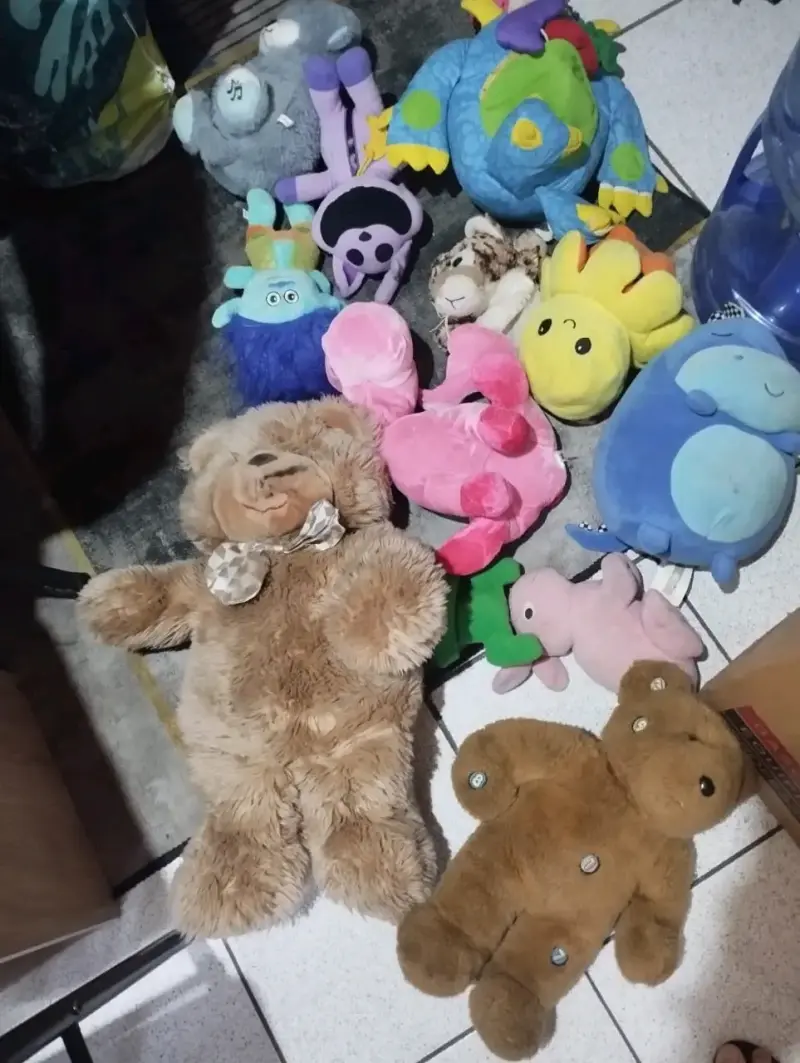 Lote de peluches y juguetes variados - 1