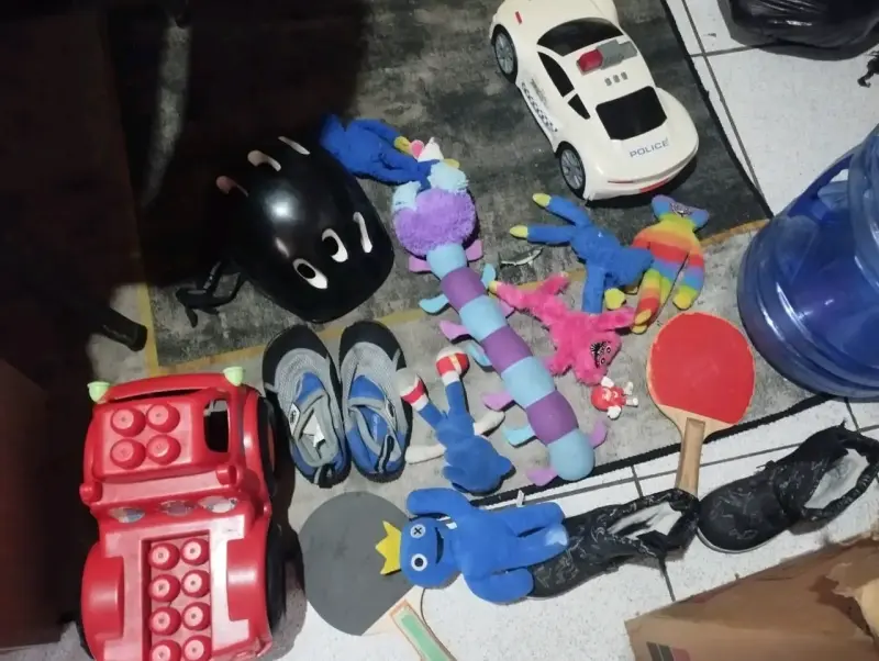 Lote de peluches y juguetes variados - 2