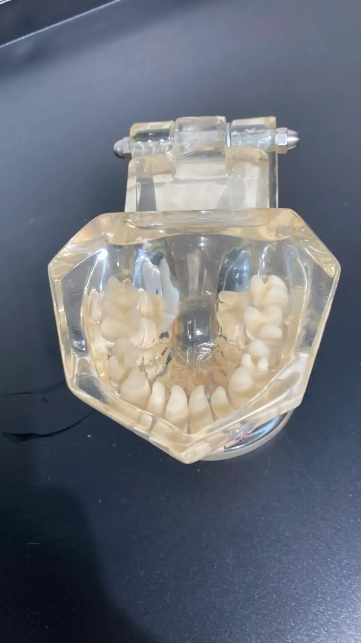 Articulador dental con aplicaciones de cristales - 3