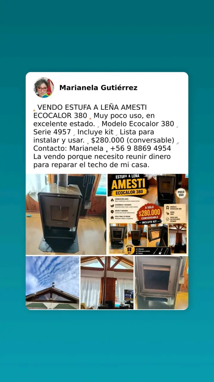Estufa a leña Amesti Ecocalor 380 en excelente estado - 1