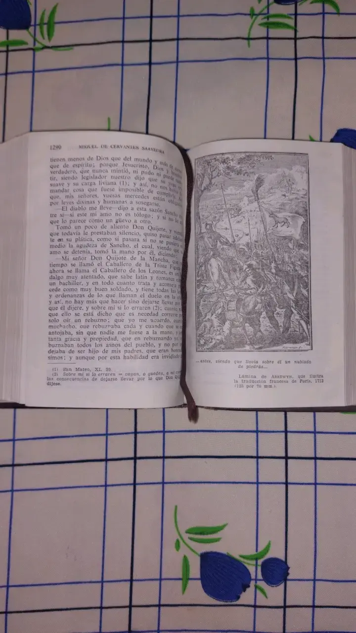 Libro antiguo Don Quijote de la Mancha - 5