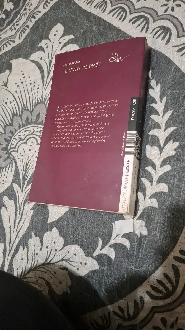 Libro La Divina Comedia de Dante Alighieri - 2