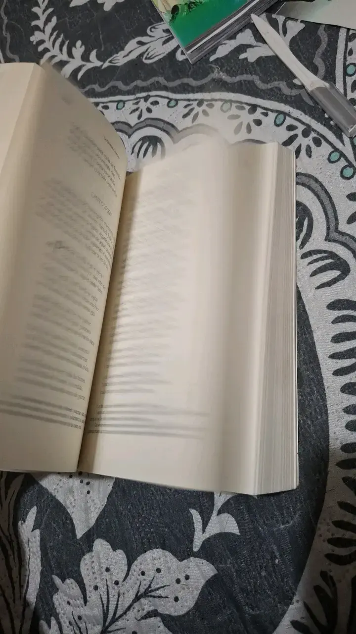 Libro La Divina Comedia de Dante Alighieri - 4