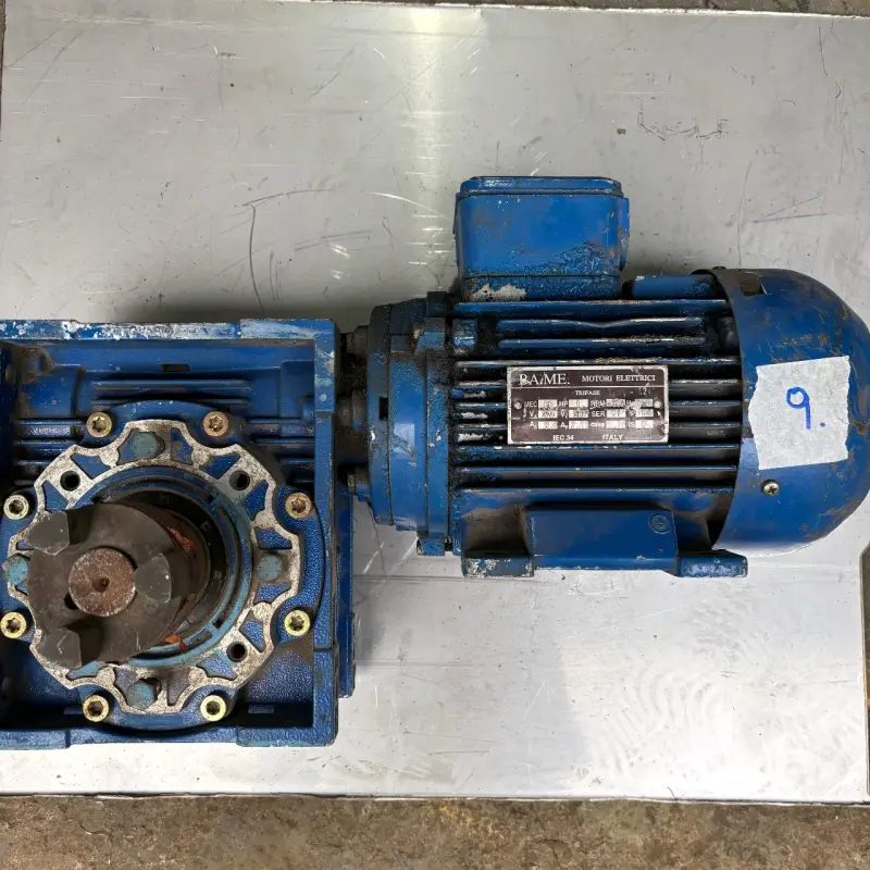 Motor eléctrico trifásico Motovario y Raime - 2