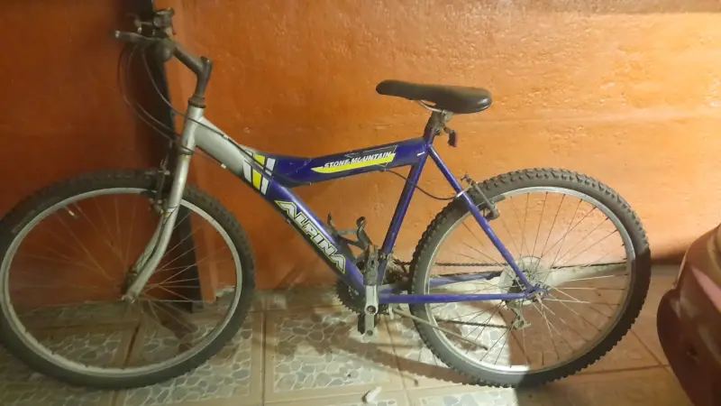 Bicicleta de montaña Alpina Stone Mountain azul - 1