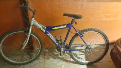 Bicicleta de montaña Alpina Stone Mountain azul - miniatura 1