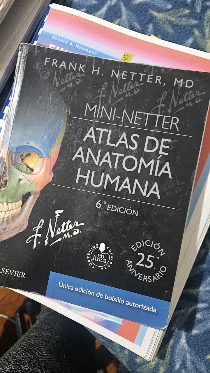 Mini-Netter Atlas de Anatomía Humana 6ª Edición - 1