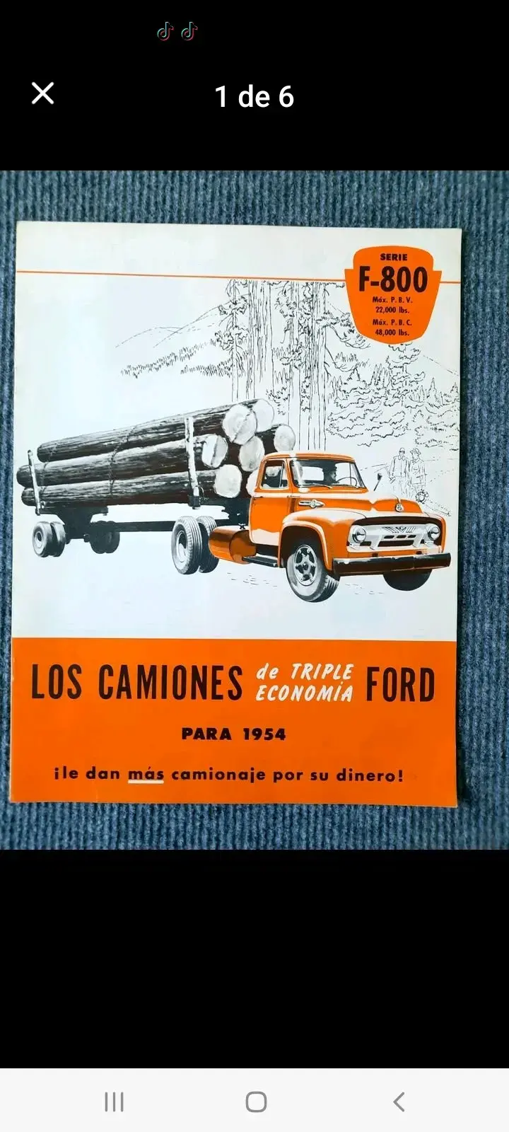 CATALOGO BROCHURE CAMION FORD F 800F-800 1954 - 1