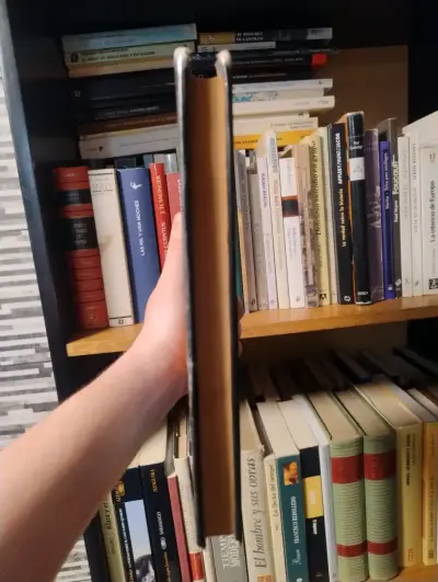 Historia de Europa por Henri Pirenne - miniatura 2