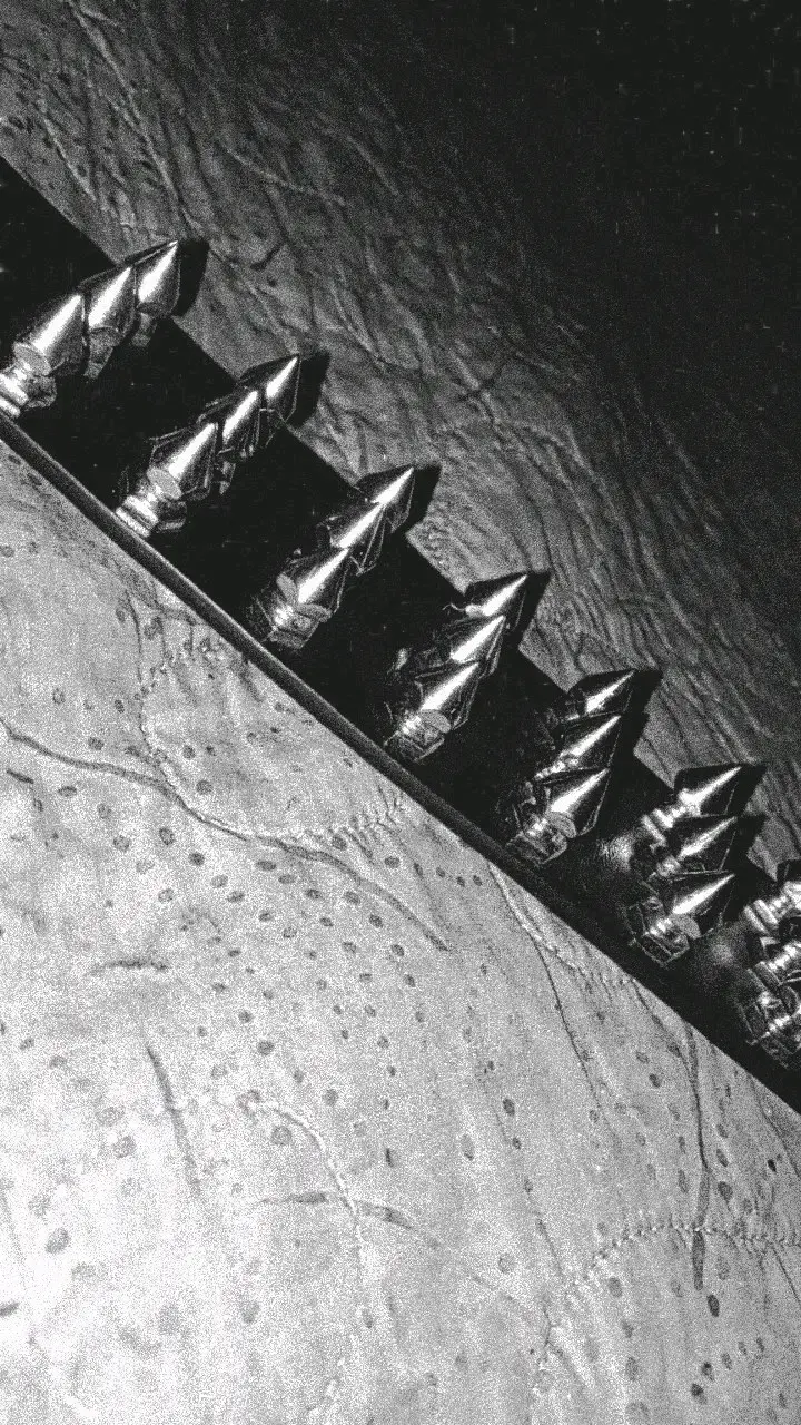 cinturón de cuero con púas metálicas - 3