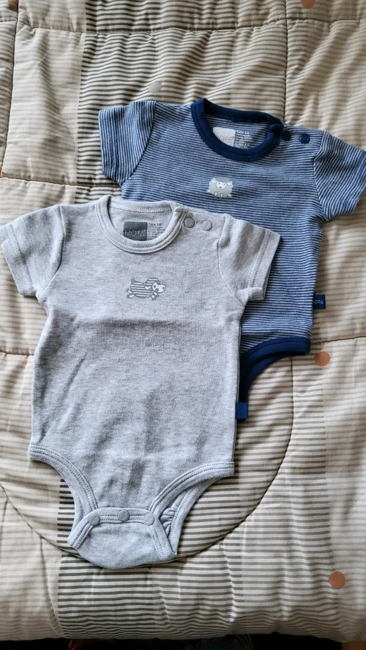 Pack de bodies bebé Mota 3-6 meses