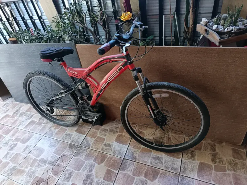 Bicicleta