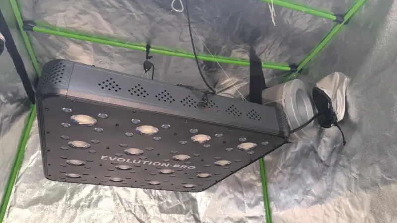 Carpa de cultivo interior Cropbox con luz LED - 2