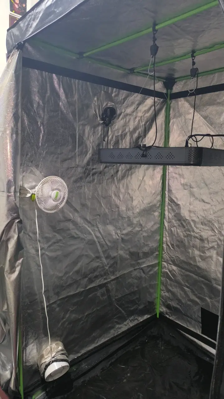 Carpa de cultivo interior Cropbox con luz LED - 3