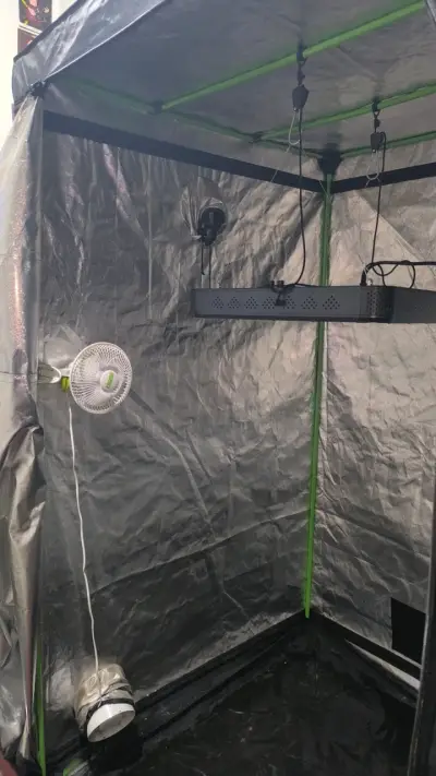 Carpa de cultivo interior Cropbox con luz LED - miniatura 3