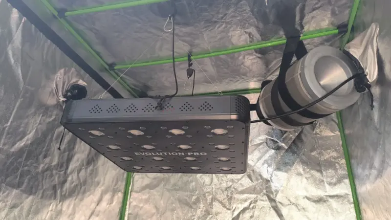Carpa de cultivo interior Cropbox con luz LED - 4