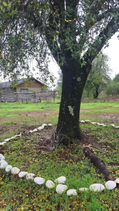 Casa de Campo en Venta entre Pemuco y San Pedro - miniatura 4