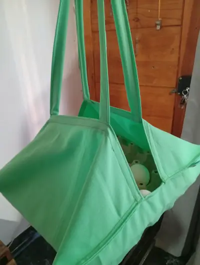Bolsa verde para transporte de huevos - miniatura 1