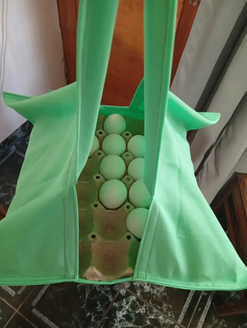 Bolsa verde para transporte de huevos - 2