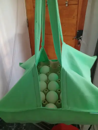 Bolsa verde para transporte de huevos - miniatura 3
