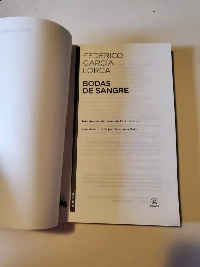 Bodas de Sangre de Federico García Lorca - 3