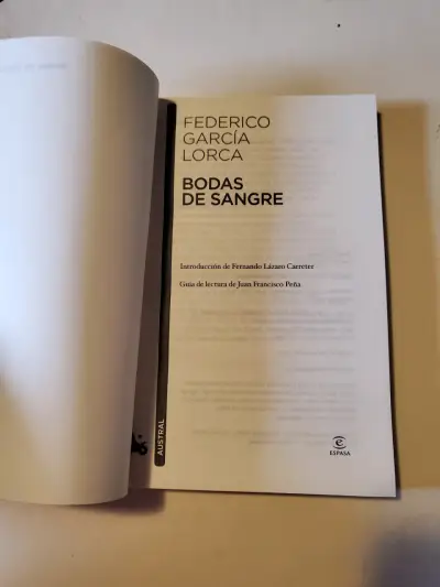Bodas de Sangre de Federico García Lorca - miniatura 3