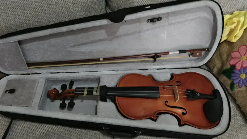 Violín acústico con estuche y arco - 6