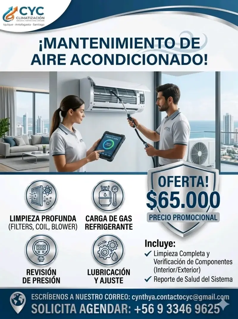 Servicio de carga de gas automotriz y aire acondicionado - 2