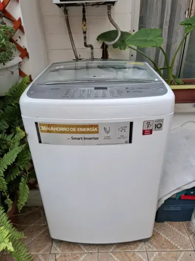 Lavadora LG Smart Inverter 14.5 kg - miniatura 1