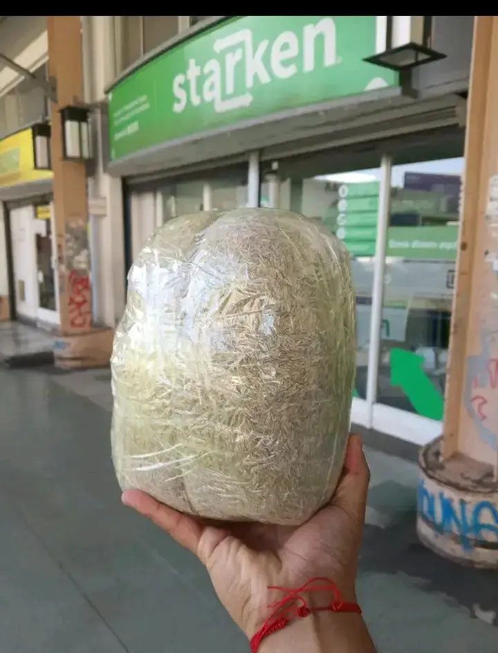 Césped chepica mexicana la elije lo mejor CHEPICA - 3