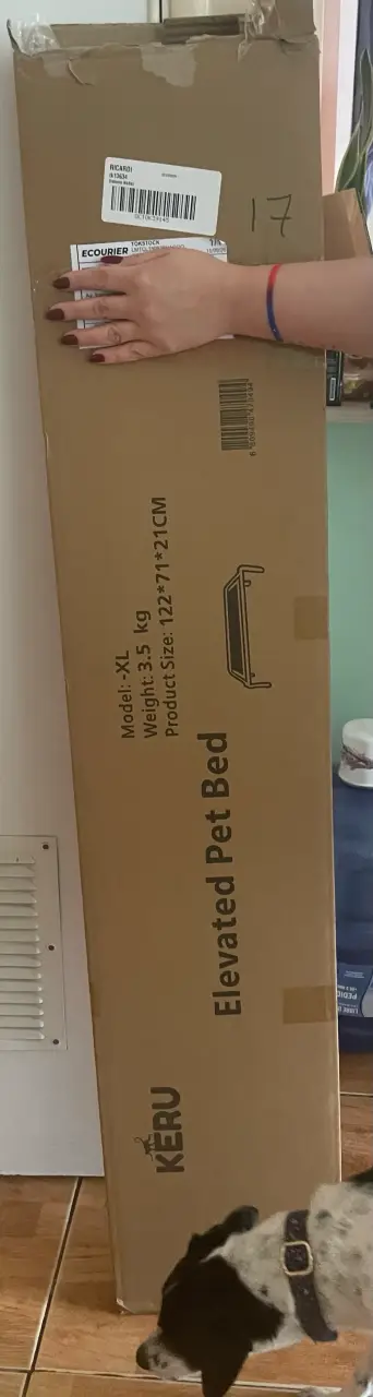 Cama elevada para mascotas negra - miniatura 4