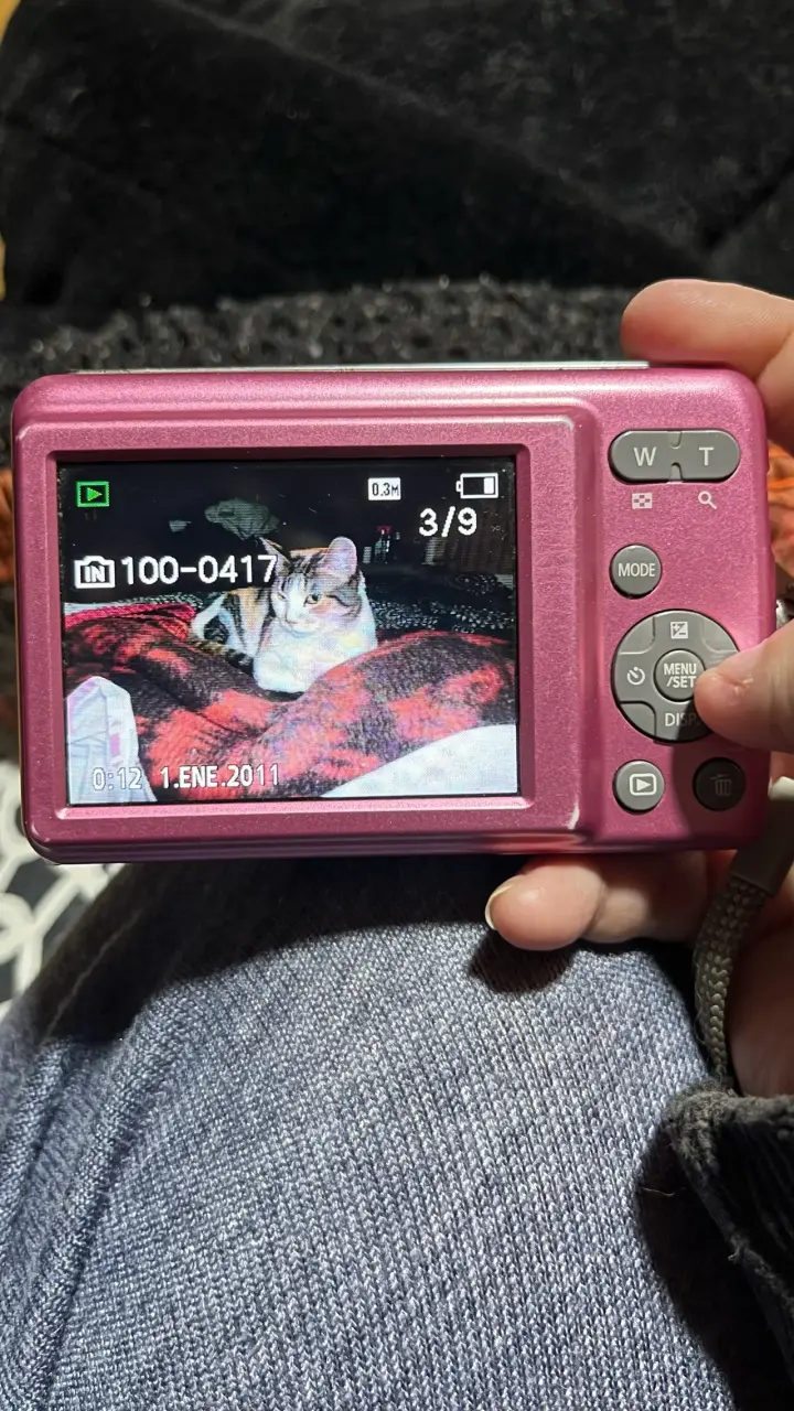 Panasonic Lumix DMC-LS5 Rosada 14MP + Estuche. - 6