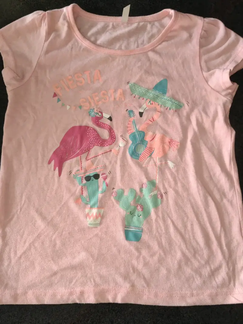 Polera infantil rosa con diseño de flamencos - 1