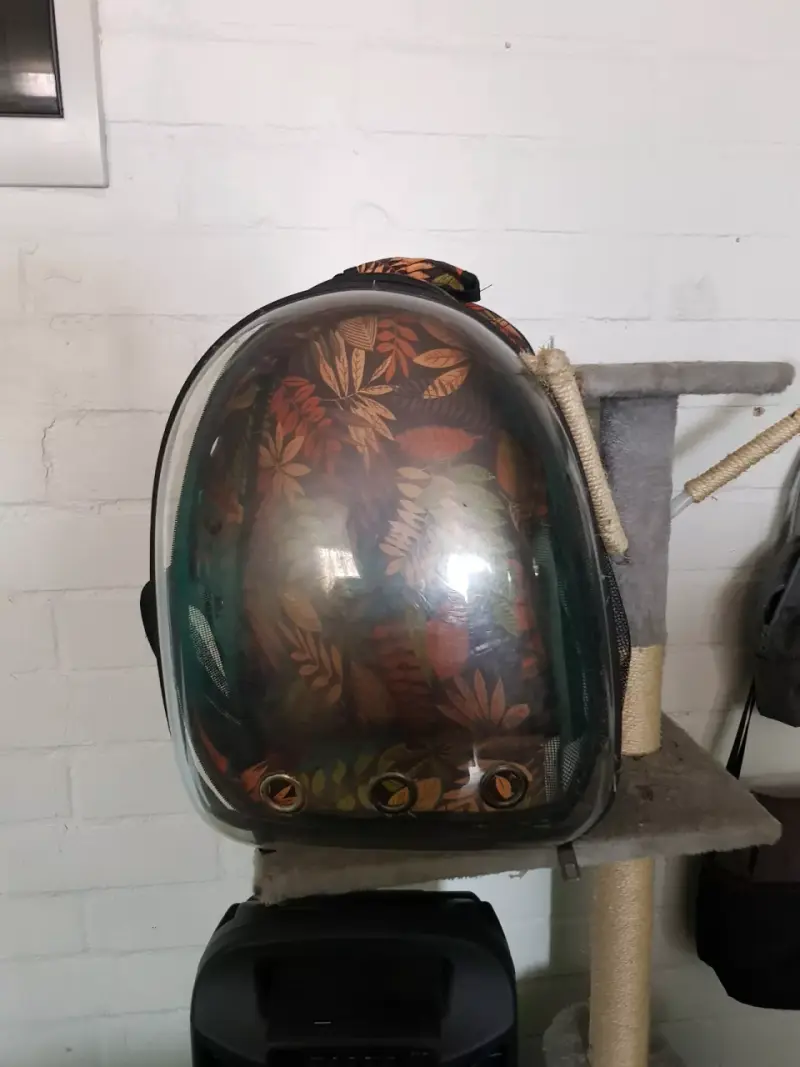 Mochila transportadora para mascotas con diseño de hojas