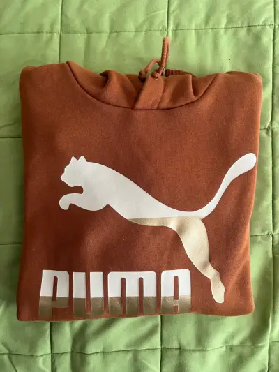 Polerón con capucha Puma marrón - miniatura 2