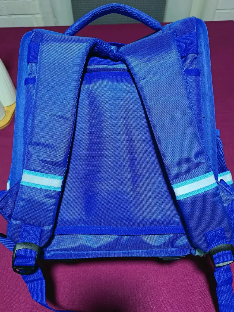 Mochila escolar Sonic The Hedgehog azul - 3