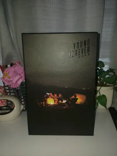 Álbum especial BTS Young Forever con caja - miniatura 1