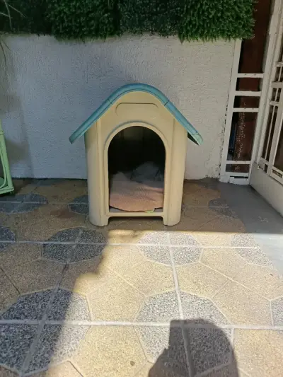 Caseta para perro de plástico resistente - miniatura 5