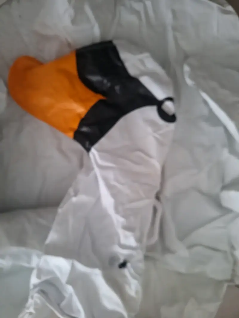 Flotador cisne - 3