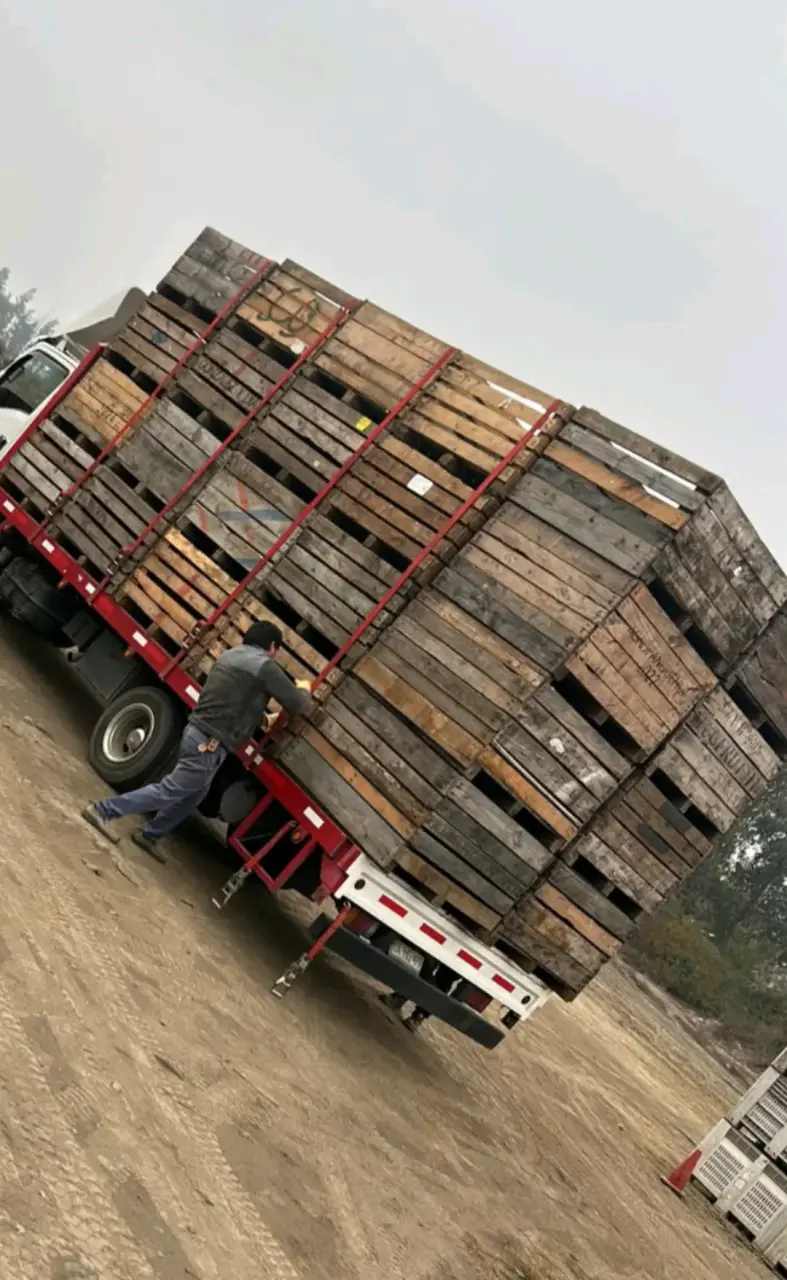 48 Bins de madera reparados en buen estado
