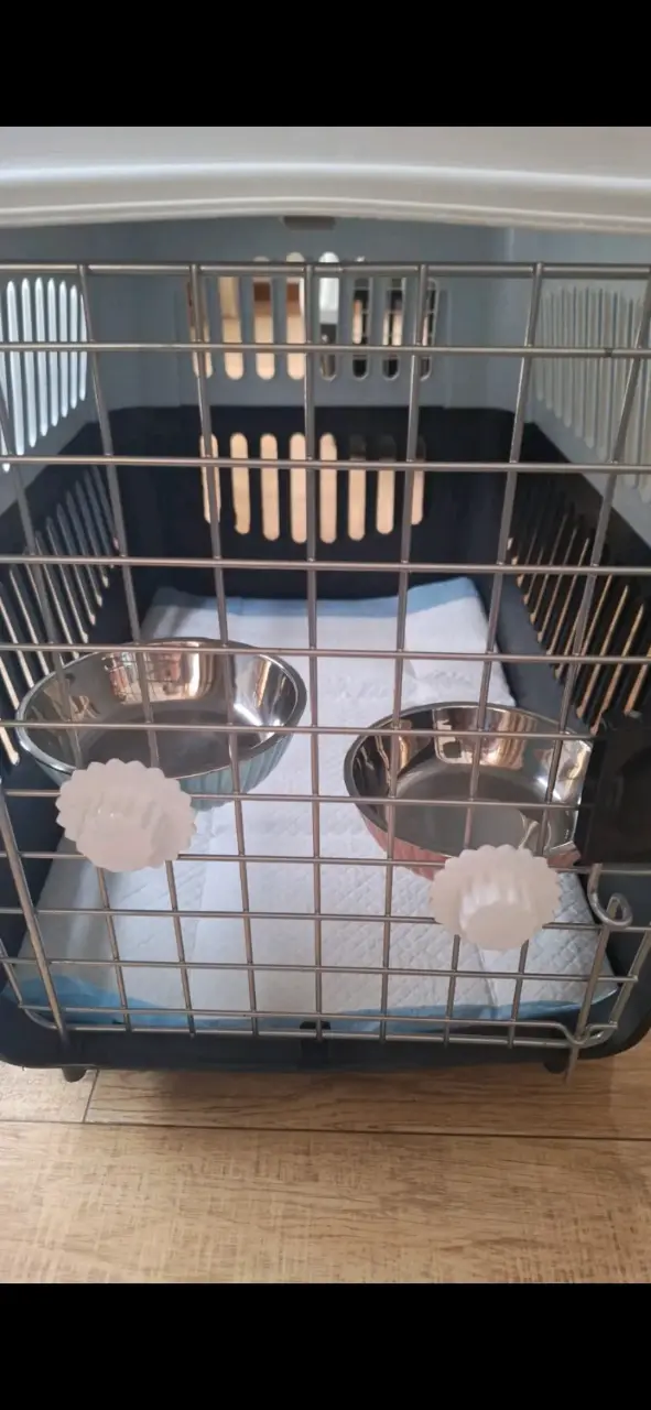Transportadora para mascotas con comederos integrados - 1