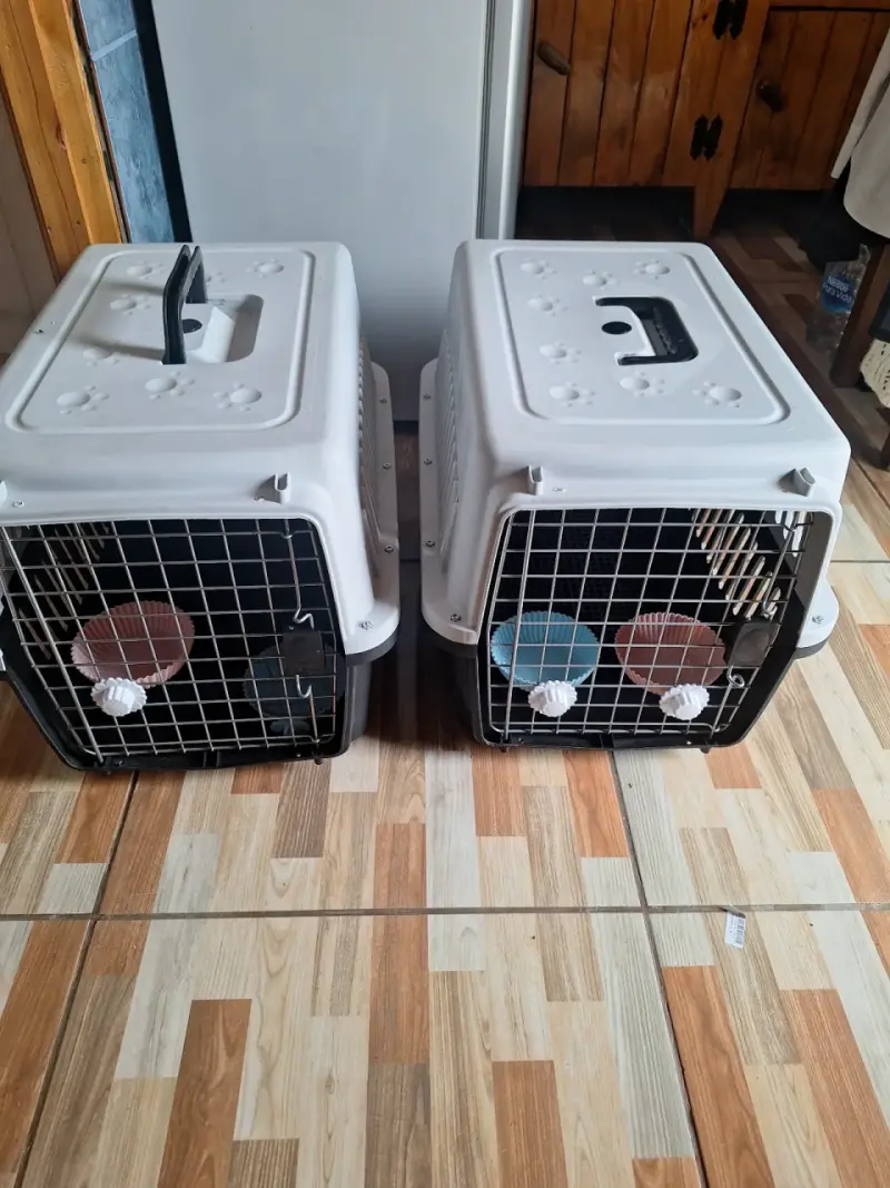 Transportadora para mascotas con comederos integrados - 5