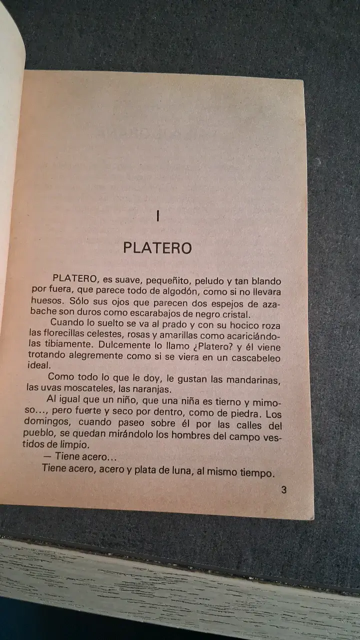 Libro Platero y Yo de Juan Ramón Jiménez - 4